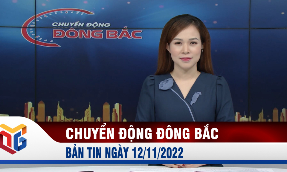 Chuyển động Đông Bắc ngày 12/11/2022