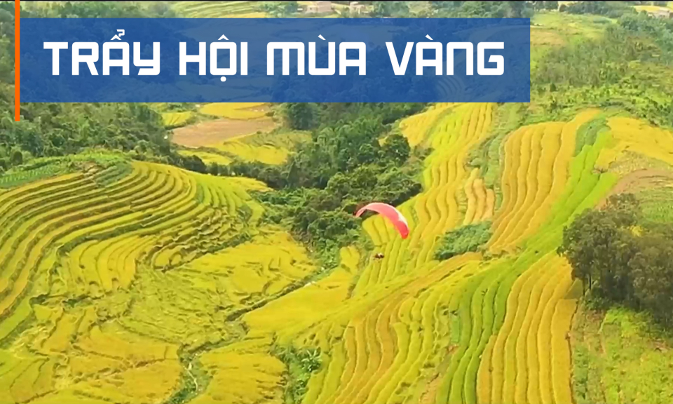 Trẩy hội mùa vàng