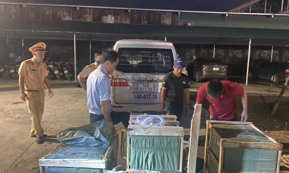 Móng Cái: Tăng cường kiểm tra, xử lý vi phạm