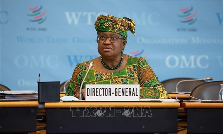 WTO cảnh báo nhiều nền kinh tế lớn có nguy cơ rơi vào suy thoái