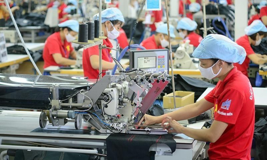 “Trái ngọt” từ EVFTA