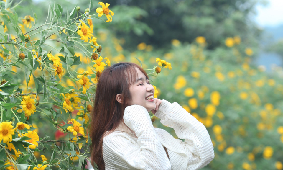 Rủ nhau lên núi ngắm hoa dã quỳ nở rộ, rời xa khói bụi về miền an yên