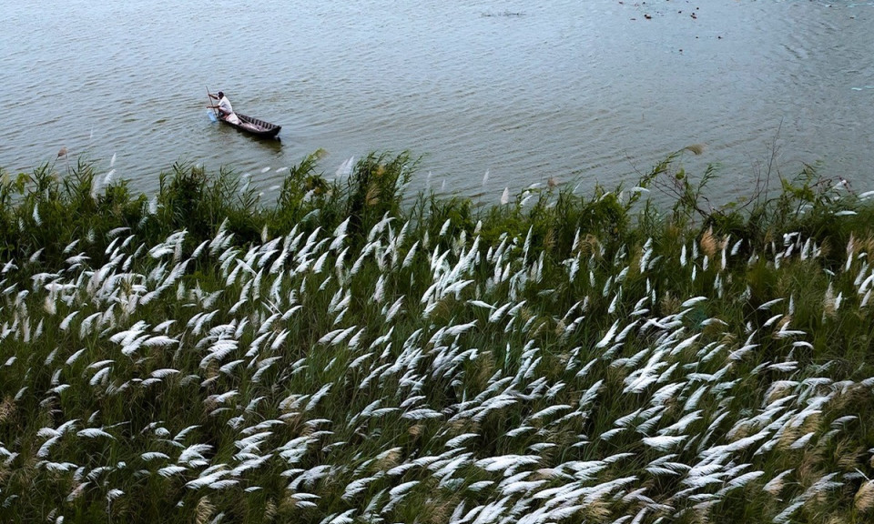 Mekong Delta province exudes charm amid annual flooding season