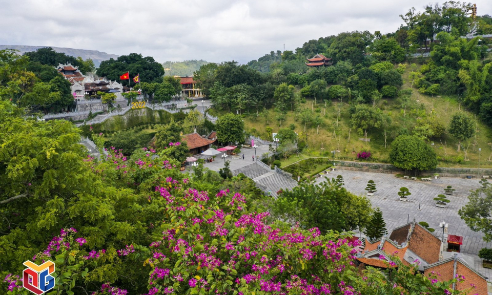 Ban flower in full bloom at Cua Ong sacred temple