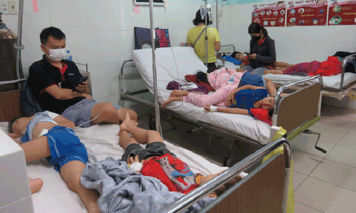 Học sinh trường Ischool Nha Trang ngộ độc do nhiễm khuẩn Salmonella
