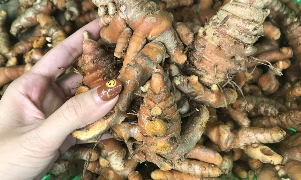 Lợi ích của nghệ trong việc hỗ trợ giảm cân