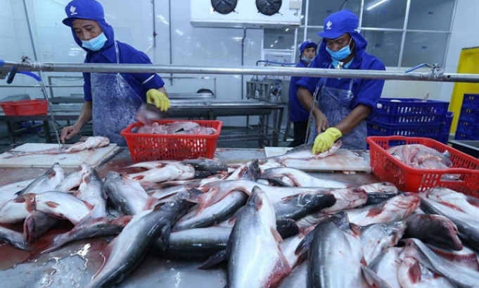 China expected to remain largest export market for Vietnamese pangasius in 2022