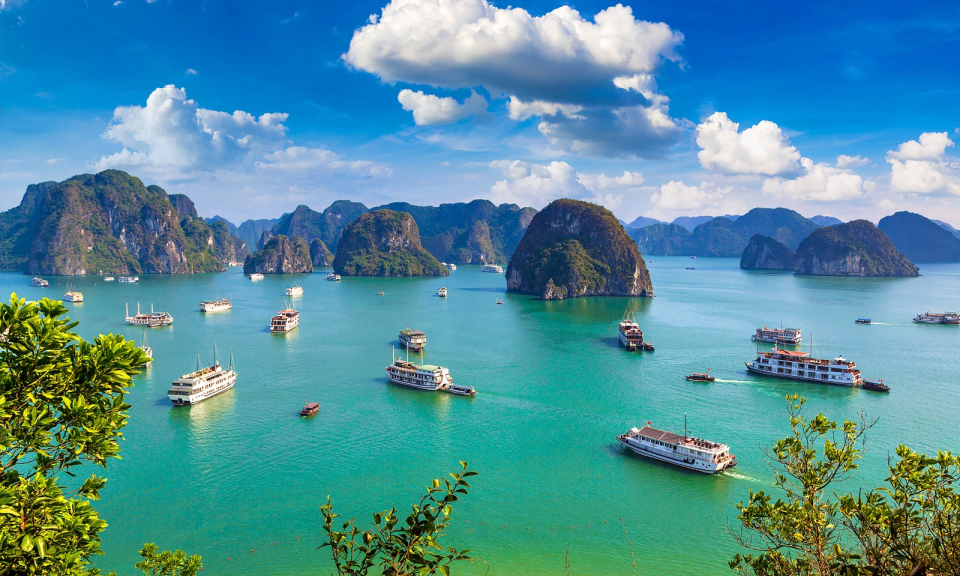The 22nd assembly of World Peace Council to be held in Quang Ninh