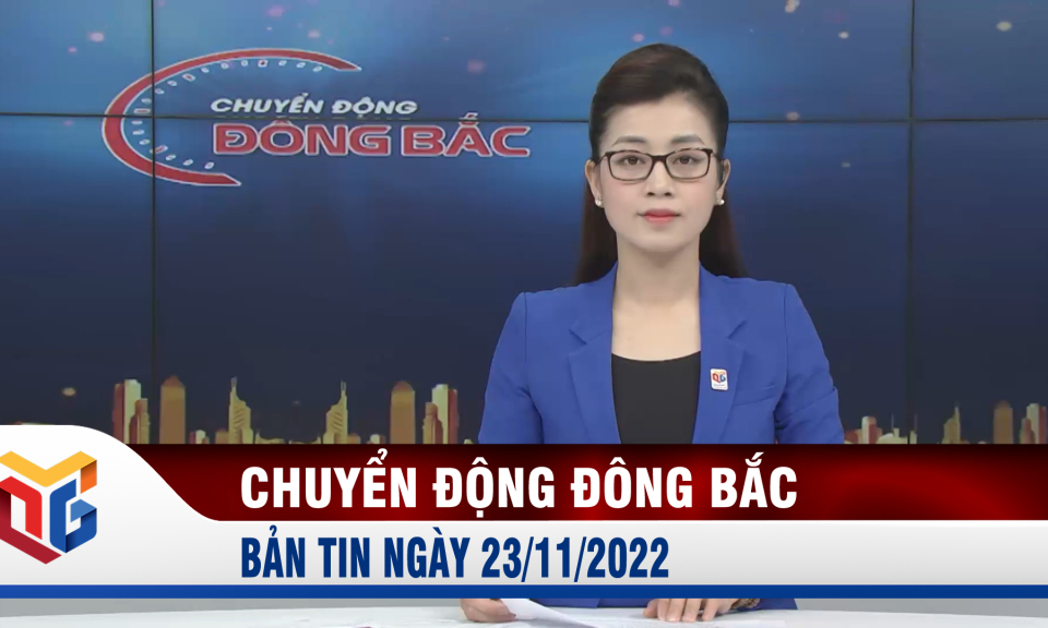 Chuyển động Đông Bắc ngày 23/11/2022