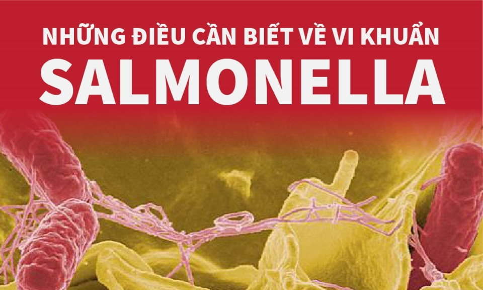 Những điều cần biết về vi khuẩn Salmonella