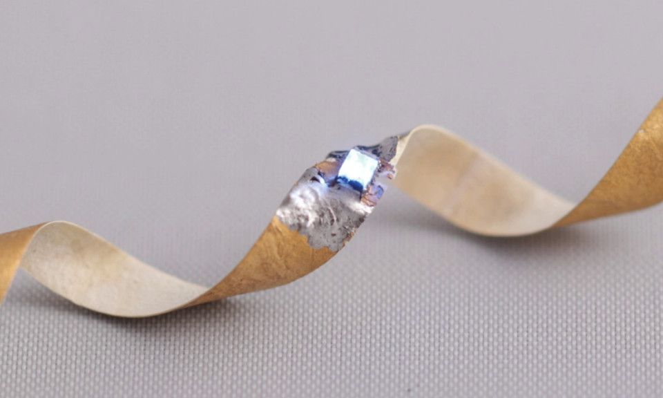 Khoa học thử nghiệm chip máy tính có thành phần nấm linh chi, tái chế và phân hủy dễ dàng