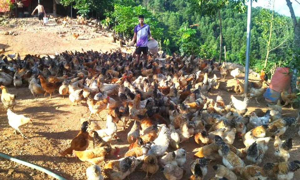 Xã nông thôn mới Thanh Sơn