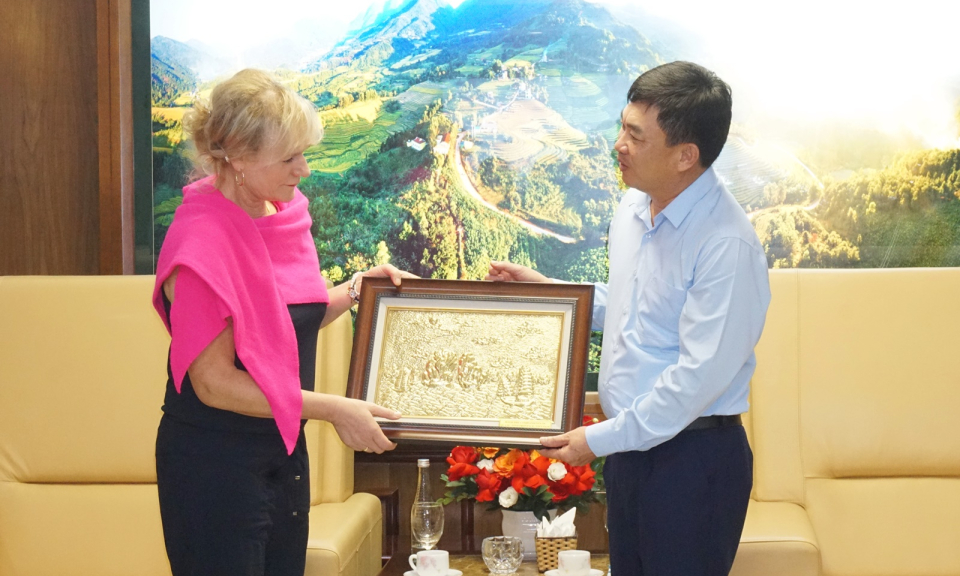 Phó Bí thư Thường trực Tỉnh ủy Ngô Hoàng Ngân tiếp xã giao Đoàn đại biểu Đảng Cánh tả Đức