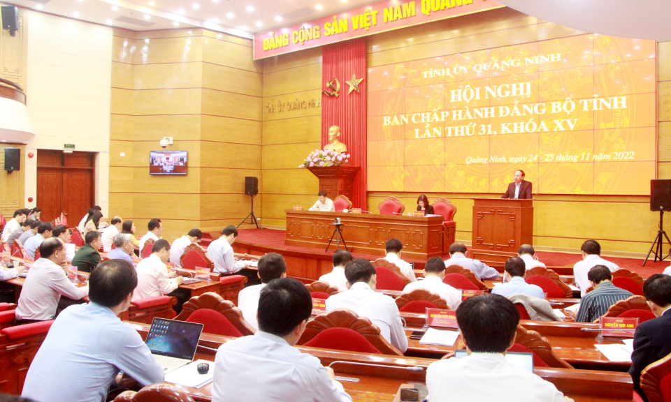 Hội nghị Ban Chấp hành Đảng bộ tỉnh lần thứ 31