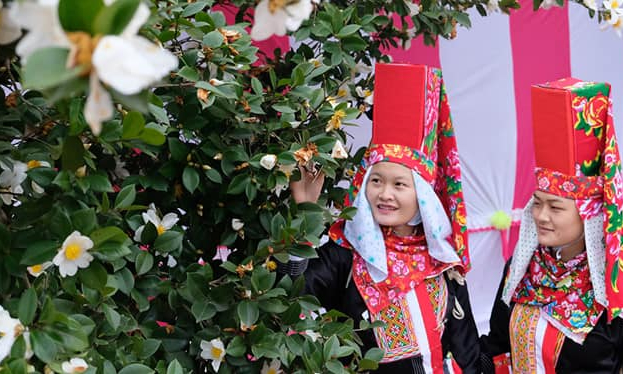 So Flower Festival to kick off in Binh Lieu on Dec. 16