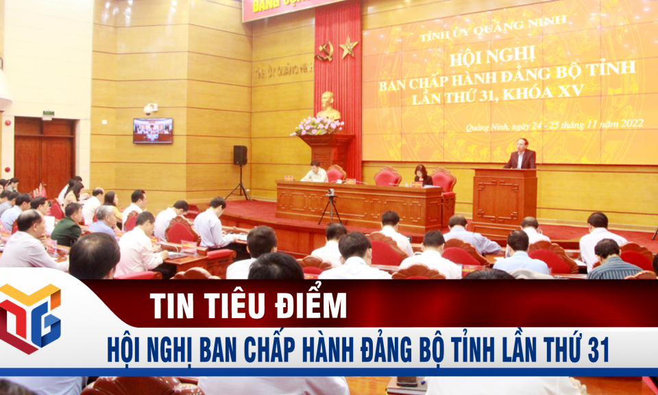 Hội nghị Ban Chấp hành Đảng bộ tỉnh lần thứ 31