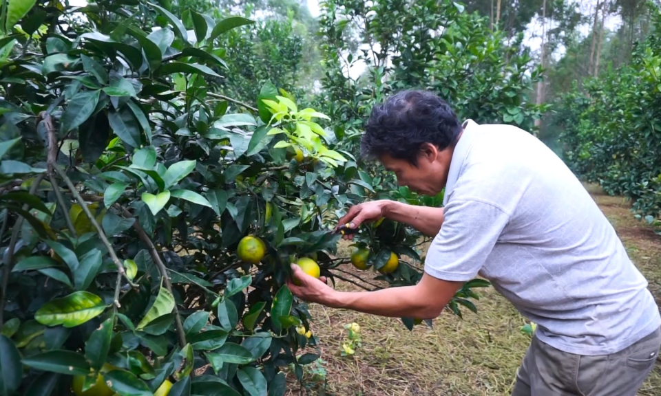 Chuyển biến ở các xã vùng DTTS