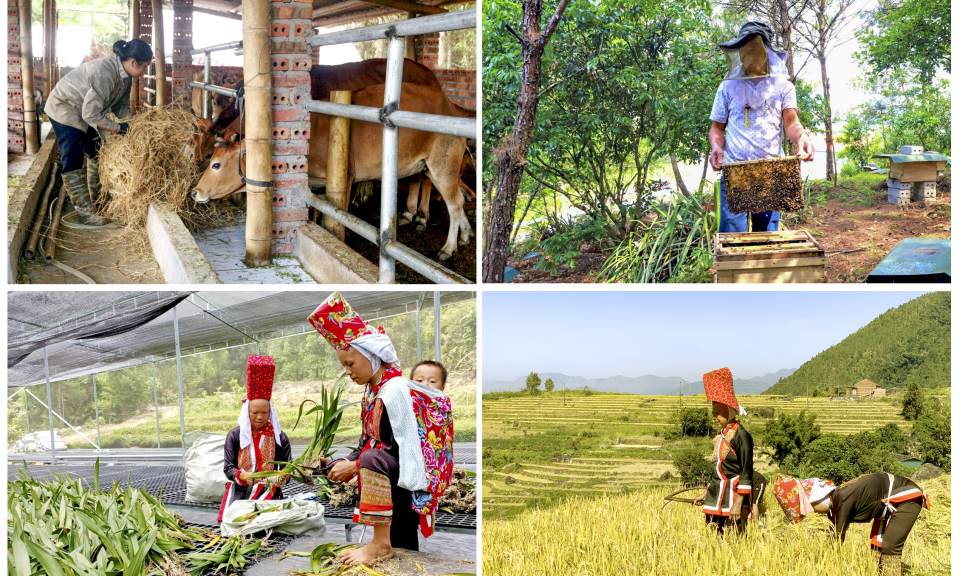Bình Liêu dồn lực xây dựng nông thôn mới chặng nước rút