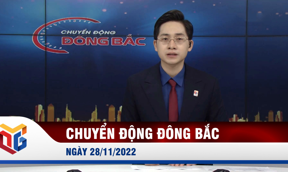 Chuyển động Đông Bắc ngày 28/11/2022