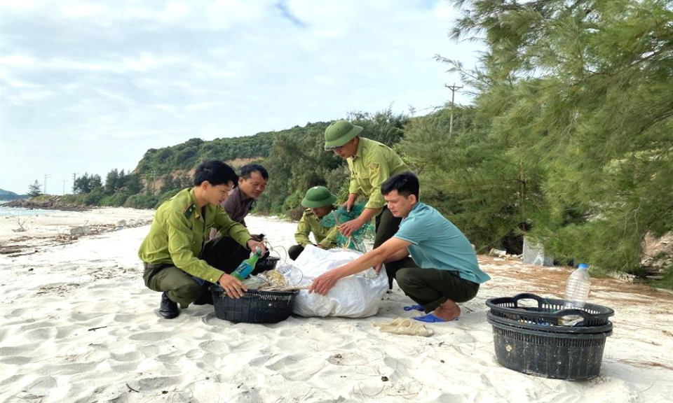 Bảo vệ môi trường ở Vườn quốc gia Bái Tử Long