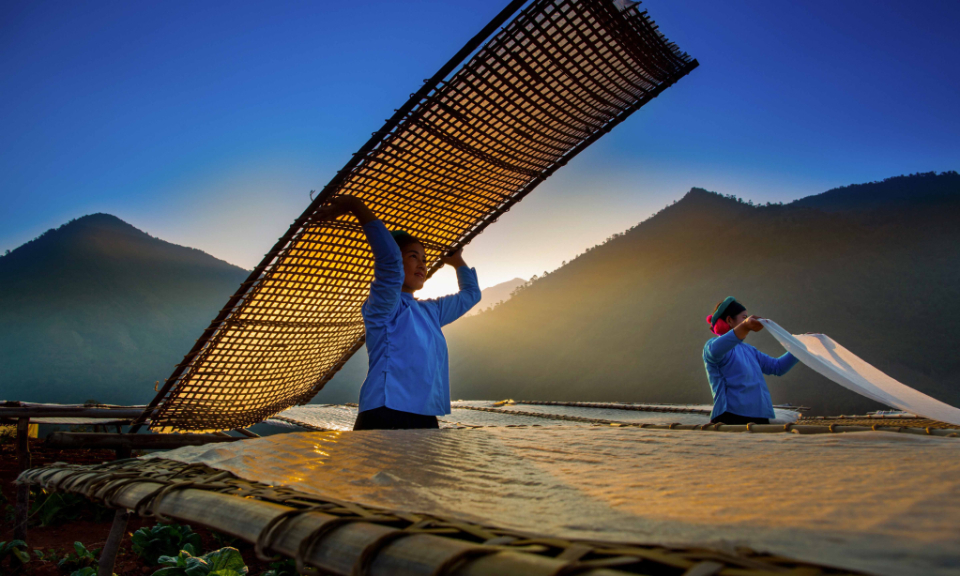 Vermicelli drying season 
