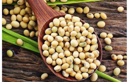 4 lợi ích của đậu nành đối với bệnh nhân tiểu đường