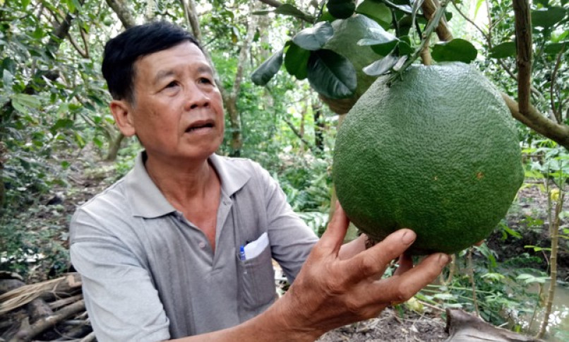 Nông sản Việt rộng đường xuất ngoại