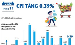 CPI tháng 11/2022 tăng 0,39% 