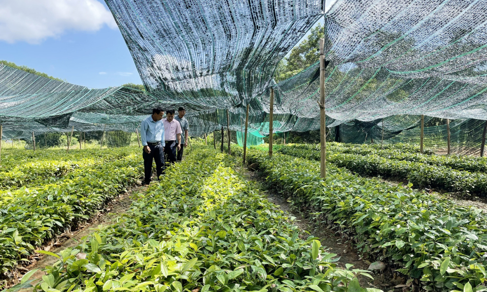 Tạo đà thúc đẩy phát triển sản xuất