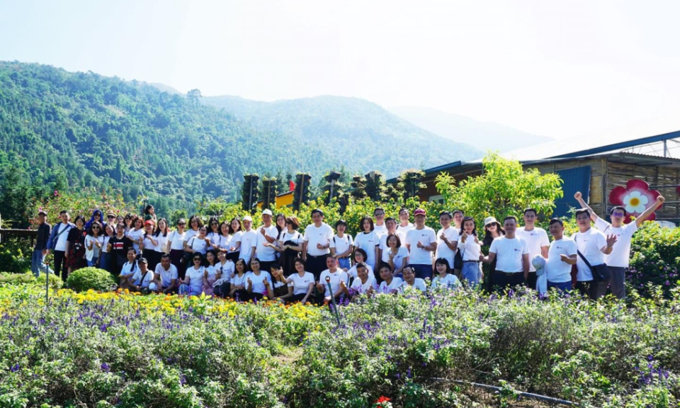 Phát triển kinh tế tập thể
