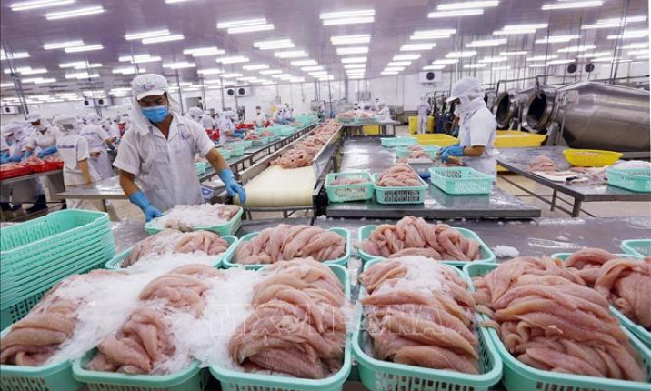 Xuất khẩu nông, lâm, thủy sản vượt kỷ lục