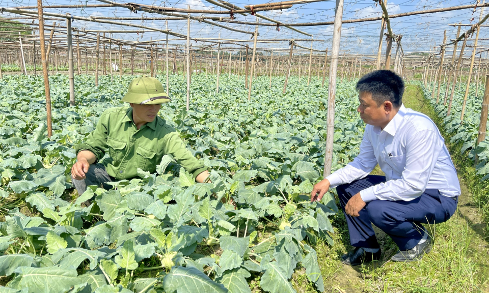 TX Quảng Yên tăng trưởng kinh tế mạnh mẽ 