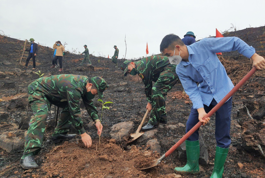 Các lực lượng chức năng trồng rừng gỗ lớn tại xã Tiên Lãng, huyện Tiên Yên.