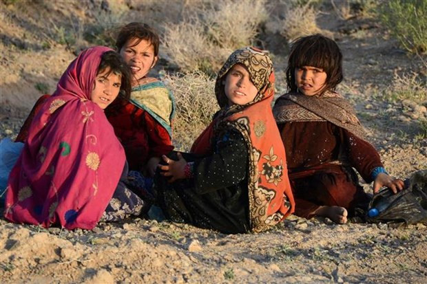 LHQ: Hon 28 trieu nguoi Afghanistan can duoc cuu tro trong nam 2023 hinh anh 1