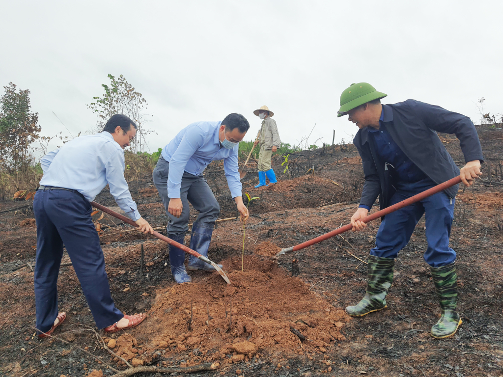 Các đơn vị