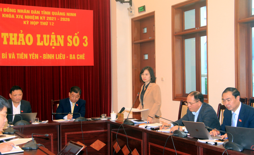 Đồng chí Trịnh Thị Minh Thanh, Phó Bí thư Tỉnh ủy, phát biểu tại Tổ thảo luận số 3.