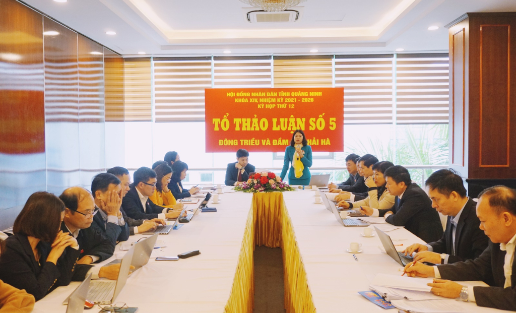 Đại biểu Đỗ Thị Ninh Hường, Bí thư Huyện ủy Đầm Hà, Tổ đại biểu huyện Đầm Hà, tham gia phát biểu tại Tổ số 5.