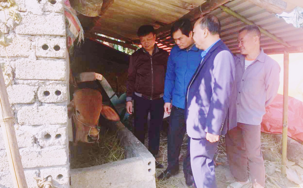 Đoàn công tác Sở NN&PTNT kiểm tra công tác phòng chống rét trong chăn nuôi tại huyện Bình Liêu.