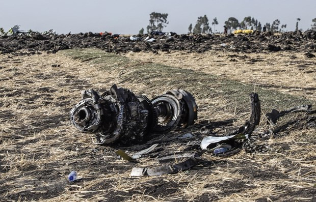 Ethiopia cong bo ket qua dieu tra vu roi may bay Boeing 737-8 Max hinh anh 1