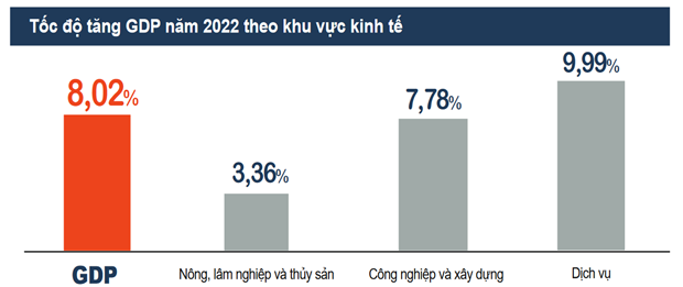 GDP nam 2022 tang 8,02%: Muc tang cao nhat giai doan 2011-2022 hinh anh 1