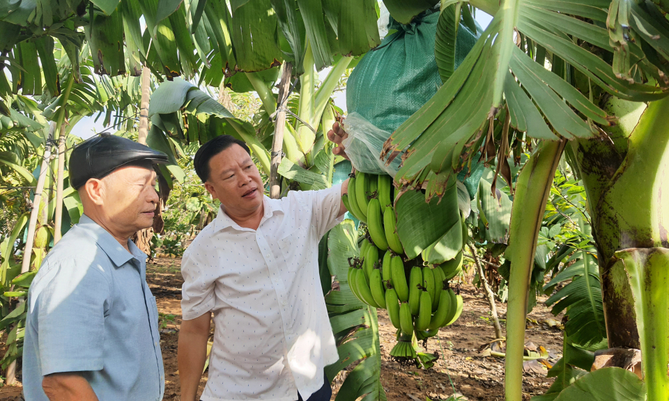 Thành quả nông thôn mới của Đông Triều