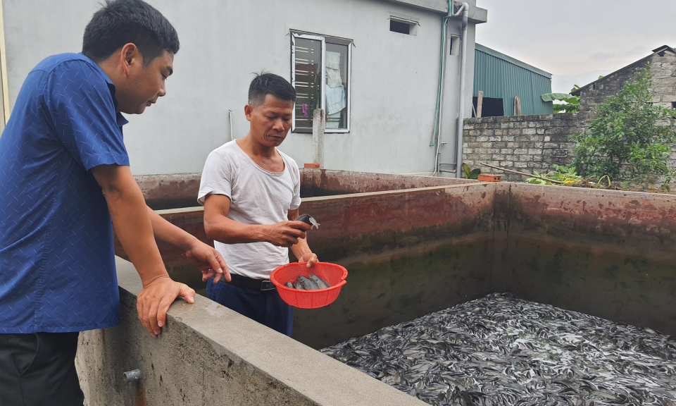 Xung lực để xã Hồng Thái Đông cán đích NTM kiểu mẫu