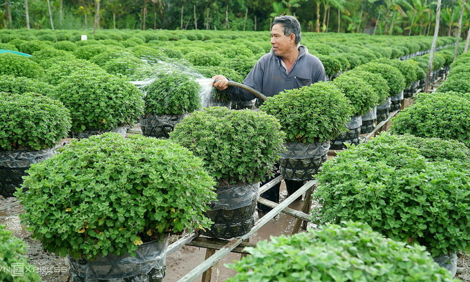 Vietnam to enjoy 7-day Tet break