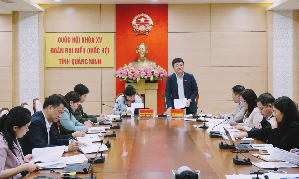 Đoàn Đại biểu Quốc hội tỉnh thống nhất kế hoạch giám sát chuyên đề