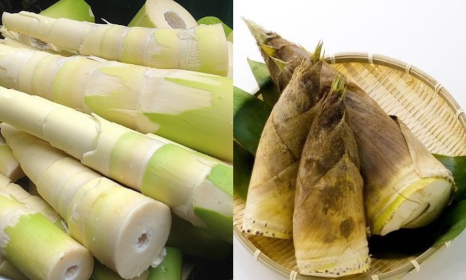 2 công thức nấu ăn đơn giản với măng tre thơm ngon tròn vị