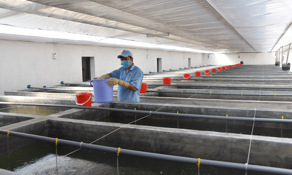 Doanh nghiệp nông nghiệp - Một năm vượt khó