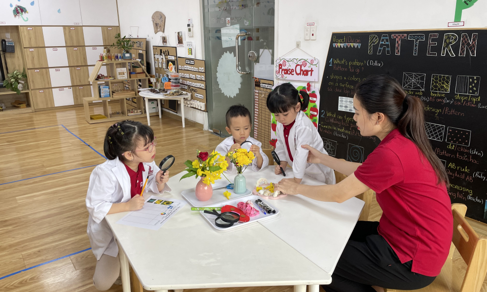 Hỗ trợ phát triển giáo dục mầm non tư thục