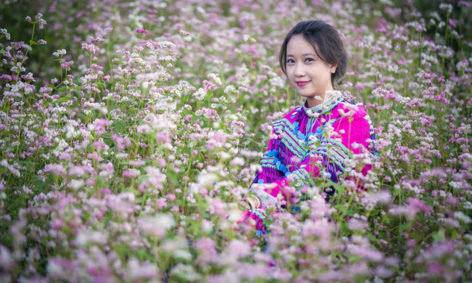 Tam giác mạch Hà Giang - màu hoa gây 'thương nhớ'