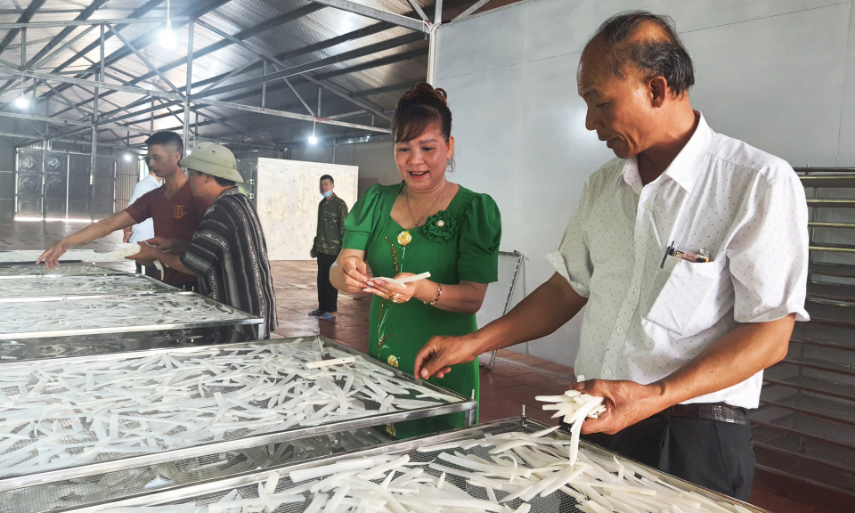 Những chuyển động mạnh mẽ của ngành nông nghiệp