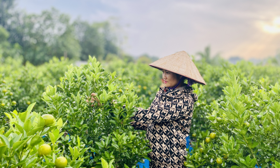Đông Triều phấn đấu là địa phương đầu tiên cán đích NTM kiểu mẫu